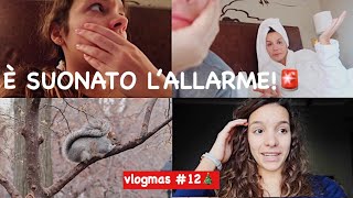 DOBBIAMO EVACUARE L’HOTEL  vlogmas 12122018 [upl. by Afihtan]