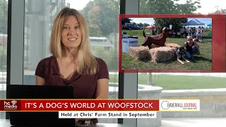 The Haverhill Journal  Oct 3 2024 Woofstock YMCA Freight Farm Merrimack Corner [upl. by Dagmar]