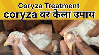 Coryza Treatment  coryza वर केला उपाय  lnfectious coryza in chickens hen poultryfarm [upl. by Hanford332]