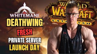 How Was the Launch of Whitemane Deathwing [upl. by Mita]