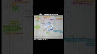 Mechanism Of Urine Formation  biology  PCMBGuy  Excretory System  system kidney [upl. by Albers]