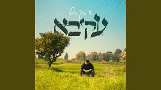 יש בך הכל [upl. by Nosna38]