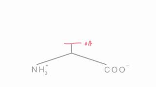 Memorize the 20 amino acids in 20 minutes Part 1 [upl. by Gerc]