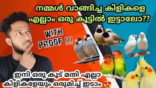 BirdsColonyCageSetUpMalayalamVideo ഇനി മുതൽ ഒരു കൂട് മതി ഒരുപാട് കിളികളെ വളർത്താം 😍😍😍 [upl. by Esmond835]