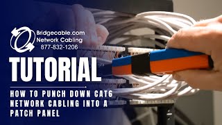 How to Punch Down CAT6 Network Cabling into a Patch Panel  BridgeCablecom [upl. by Goodkin]