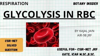 Glycolysis in Erythrocytes  RBC  Regulation of Glycolysis  PYQ Included  CSIRNET JRF  GATE [upl. by Elohcan898]