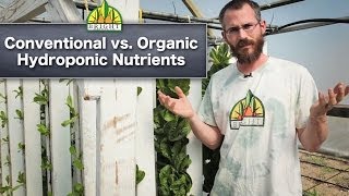 Hydroponics Safety Conventional vs Organic Hydroponics [upl. by Fillender332]