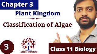 Chapter 3  Plant Kingdom  Classification of Algae  Class 11 CBSE RBSE NCERT Part3 [upl. by Atenek]