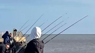 Gorleston Pier Fishing Competition with the boys [upl. by Berkie]