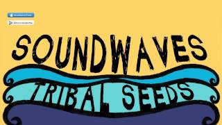 Tribal Seeds  Soundwaves ft Eric Rachmany of Rebelution OFFICIAL AUDIO [upl. by Aelc215]