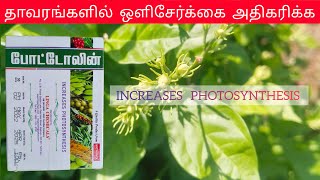 Photolin  Increases Photosynthesis  Uses  Tamil [upl. by Ridgley]