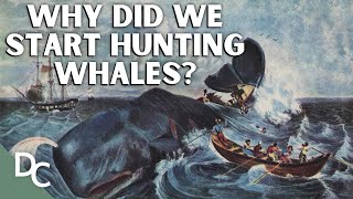 Unearthing Antarcticas Brutal Whaling Past  Whale Hunters An Untold History  Part 1  DC [upl. by Erfert]