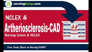 Cardiac Lecture 22 Nursing KAMPs Scribble Notes CAD Cardiovascular Disease Atherosclerosis NVC22 [upl. by Whitson]