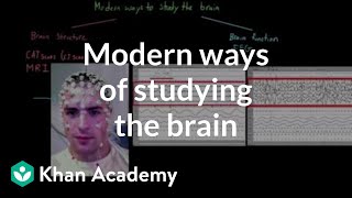 Modern ways of studying the brain  Organ Systems  MCAT  Khan Academy [upl. by Bowrah840]