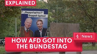 How AfD reached the German parliament [upl. by Noremak]