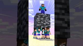 Steve Team Vs Herobrine Team  Race with Big Bedrock shorts friendship minecraft helpherobrine [upl. by Eusadnilem972]