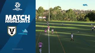 NPL NSW Womens Round 6 Highlights – Bulls FC Academy v Illawarra Stingrays [upl. by Dammahum]