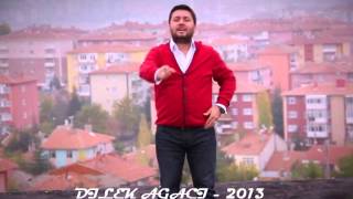 ÖZGÜR KOÇ  DİLEK AĞACI  2013 [upl. by Oah583]