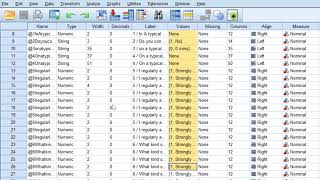 Codebook of Likert scale questionnaire from SPSS [upl. by Alyhs]