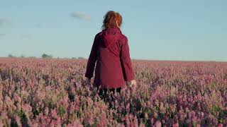 Field Of Sainfoin [upl. by Vittorio]