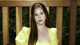 Lana Del Rey  Violets For Roses Filtered Instrumental [upl. by Ynittirb]