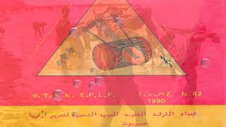 Eritrean Revolutionary Song  Wedi Zagir  Ufey [upl. by Yeltsew]