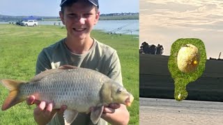 FISHING at Bronkhorstspruit dam in South Africa WHAT BAITS WORK [upl. by Krahling]