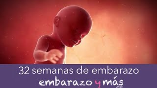 32 semanas de embarazo  Octavo mes  EMBARAZOYMAS [upl. by Rednaskela]