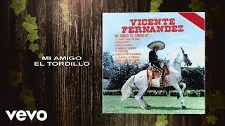 Vicente Fernández  Mi Amigo el Tordillo Cover Audio [upl. by Primo67]