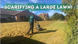 Scarifying a large mossy lawn  biggest one yet [upl. by Callas]