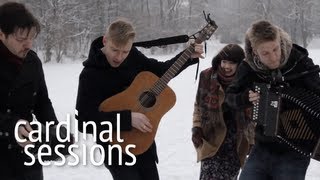 Skinny Lister  Lets Get Wasted Wild As The Wind Blows  CARDINAL SESSIONS [upl. by Nellaf]