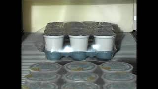 Waldner DOSOMAT Rotary Machine  Filling amp Sealing Yogurt in Cups [upl. by Noillimaxam]