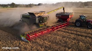 4Kᵁᴴᴰ Harvest 2023 Claas Lexion 8900TT harvesting barley in Hintlesham at sunset [upl. by Uriia655]