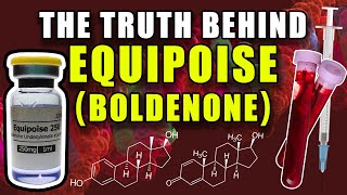 THE TRUTH BEHIND EQUIPOISE  Does Boldenone Aromatize Into Estradiol Or Act As An AI [upl. by Naeerb]