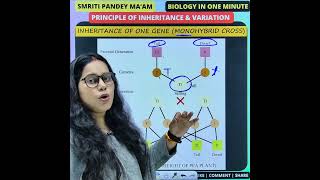 6 Monohybrid Cross  Principle of Inheritance neet neetpreparation neetbiology neetpyq biology [upl. by Anidnamra]