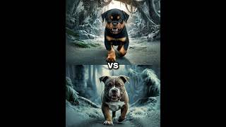 Rottweiler Puppy vs Pitbull puppy  German Shepherd Husky Doberman labrador retriever Pointer [upl. by Kalbli400]