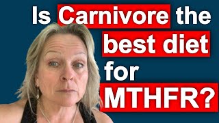 Carnivore or Animal Based Diet Is The Best Mthfr Diet [upl. by Nilyak407]