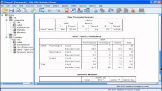 Kappa  SPSS part 2 [upl. by Aimar588]