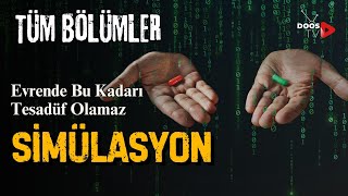 Simülasyon Evren Gerçek Olabilir Bilgisayar Oyununun İçinde Yaşıyoruz  Tüm Bölümler  Doos TV [upl. by Asenav133]