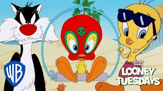 Looney Tuesdays  Best of Tweety from Sylvester and Tweety Mysteries 🔍  Looney Tunes  WB Kids [upl. by Mattie]