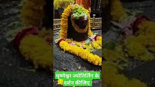 shiv jyotiradityascindia jyotirlingadarshan shivmandir shambhu viralvideo [upl. by Erek344]