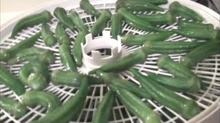 Dehydrating Okra [upl. by Awad551]