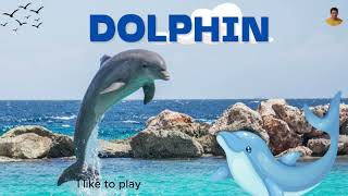 Dolphin song for kids  Uncle Yellow [upl. by Ansev]