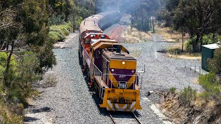 Y161 P12 amp Y127 at Chewton [upl. by Strauss]