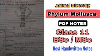 Mollusca  General characteristics amp Torsion in gastropod  Class 11 BSc Zoology 1st year  HPU DU [upl. by Roderich]