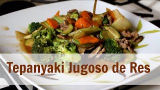 TEPPANYAKI JUGOSO DE RES  ALE DE NAVA [upl. by Nylhtak]