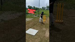 Batting Drills For Pull Shot  Best Practice Drills For Pull Shot [upl. by Tilden]