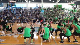 Dreyfoos Sophomore Pep Rally Dance 2016 [upl. by Letisha]