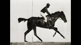 The Horse in Motion by Eadweard Muybridge 1878 Sallie Gardner at a Gallop Precinema Before Film [upl. by Yllatan620]