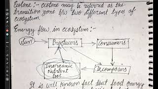 ENERGY FLOW IN ECOSYSTEM  ENVIRONMENTAL STUDIES [upl. by Fahy]